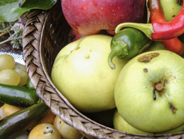 Obst und Gemüse, saisonal und regional